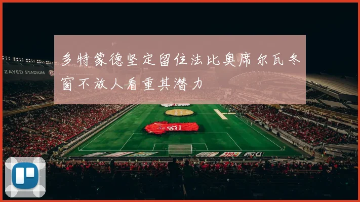 多特蒙德坚定留住法比奥席尔瓦冬窗不放人看重其潜力