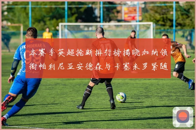 本赛季英超抢断排行榜揭晓加纳领衔帕利尼亚安德森与卡塞米罗紧随其后