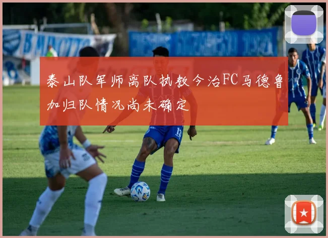 泰山队军师离队执教今治FC马德鲁加归队情况尚未确定