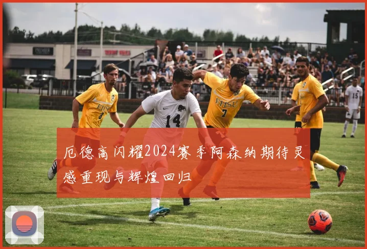 厄德高闪耀2024赛季阿森纳期待灵感重现与辉煌回归
