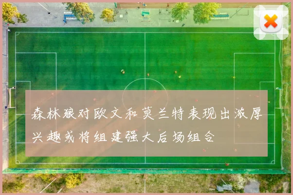 森林狼对欧文和莫兰特表现出浓厚兴趣或将组建强大后场组合